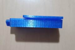 DTLE1